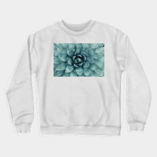 Low Poly Succulent Crewneck Sweatshirt